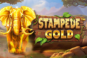 Stampede Gold